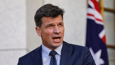 Angus Taylor says the carbon tax destroyed one in eight manufacturing jobs. Is he correct?