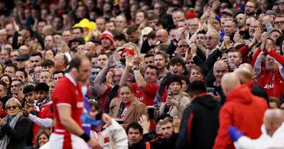 Wales fans to be served weaker beer in Six Nations after child vomited on in stands