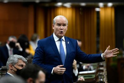 Conservative party leader in Canada ousted by his lawmakers