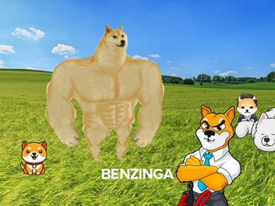 Doge, Shiba... Who Let The Dogs Out? A Joke Or Major Players?