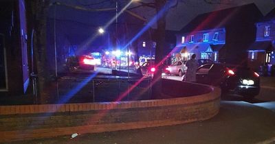 Newport dog attack: Two taken to hospital as armed police called