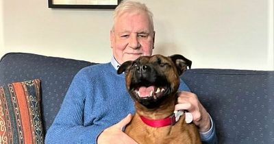 Terri Hooley's new love is a one-eyed dog no one wanted