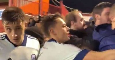 Barnsley v Cardiff City chaos erupts after final whistle as Steve Morison and players embroiled in tunnel melee