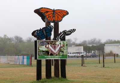 Butterfly sanctuary closing indefinitely after wave of right-wing conspiracy theories and threats