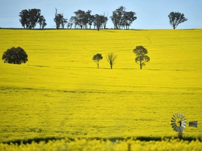 More growth for Aussie agriculture