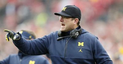 Jim Harbaugh Watch over for Vikings, coach plans on returning to Michigan