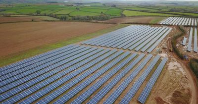 Leicestershire council hopes to go green with solar farms