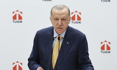 Erdoğan offers to mediate between Ukraine and Russia