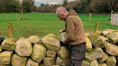 ‘It has become a craft now and I suppose more of an art’… Mark Hanna on the ‘beauty and hard graft’ of Mourne stone walling