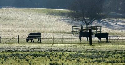 Met Eireann Ireland weather forecast dramatic change in temperature and wintry showers