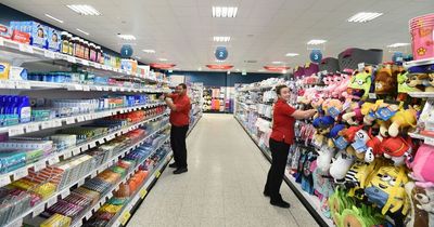 Home Bargains shoppers keen to snap up 'cute' hanging egg chair for their pets