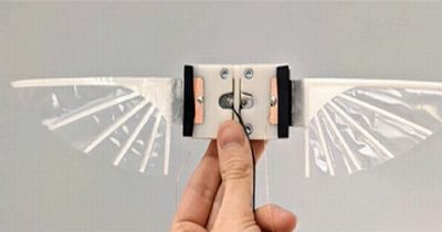 Bristol scientists develop robots 'insects' that can fly