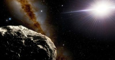 Enormous 'Trojan asteroid' following Earth is rare and 'almost a mile wide'