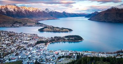 New Zealand borders to reopen in phases from February as Covid rules eased