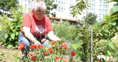 Top Bristol horticulturist says Bearpit 'not the right place' for bees