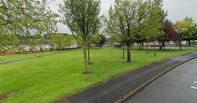 Dungannon incident: 17-year-old arrested after man stabbed in the foot