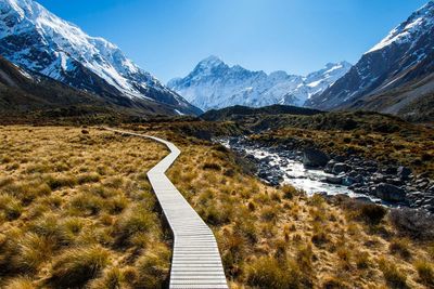 What are New Zealand’s travel rules as border reopens?