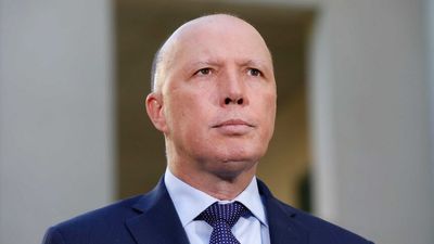 Peter Dutton leaps to Scott Morrison's defence as Malcolm Turnbull declares government in 'plenty of trouble'