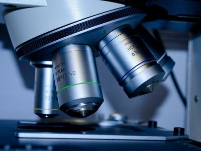 EXCLUSIVE: Pasithea Therapeutics Starts New Multiple Sclerosis Vaccine Development Program