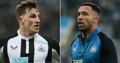 Newcastle's Callum Wilson hoped for another striker in January but backs Chris Wood