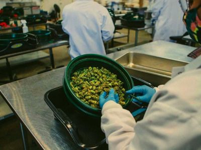 Cannabis Supply Chain: Lessons Learned In California