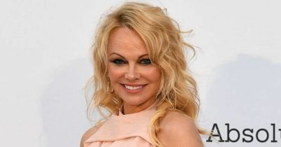 Pam & Tommy 're-opening a wound for Pamela Anderson after traumatic sex tape leak'