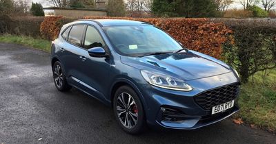 Ford Kuga FHEV ST-Line Edition review – SUV is so easy-going