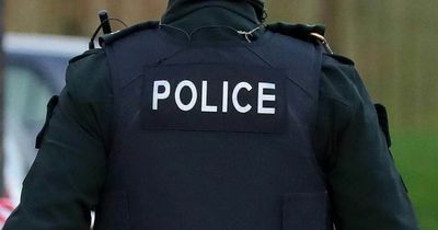 Belfast 'thug' jailed for spitting at police and calling officer "fat b*****d"