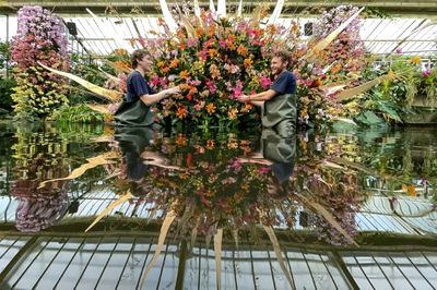 UK's Kew tribute to Costa Rica at annual orchid fest