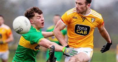 Antrim vs Limerick: Saffrons must be sharper for next test says Sean Kelly