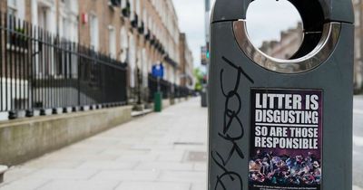 Thirty prosecutions for littering in south Dublin as council commended for tackling dumping