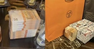 Conor McGregor shows off huge stack of money worth thousands of euros
