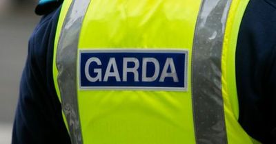 Man arrested after gardai find €250,000 hidden in car in Dublin