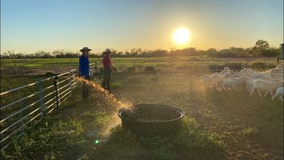 Outback Queensland boarding school students face long journey home if COVID positive