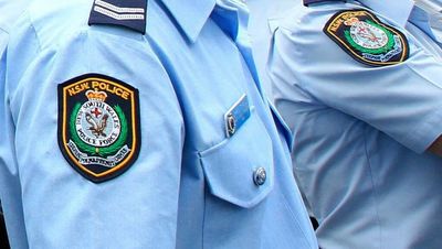 Domestic violence charges after allegedly fleeing police