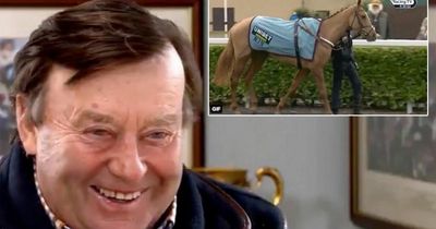 Horse named after amusing Nicky Henderson Cheltenham Festival blooper makes debut