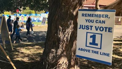 Sydney news: Court to decide whether some results in 19 local council seats should be declared void due to computer crash