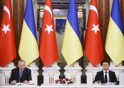 Erdogan offers Ukraine-Russia peace summit to defuse crisis