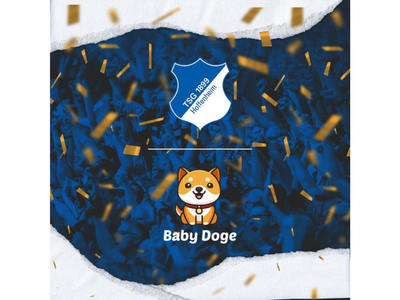 Baby Doge Coin Partners With German Football Club TSG 1899 Hoffenheim For NFTs, Brand Opportunities