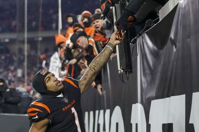 Montage of Bengals fans reacting to Super Bowl berth is why we love sports