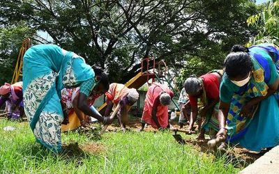 MGNREGA, food subsidy cut will hit Schedule Tribes worst, says tribal group