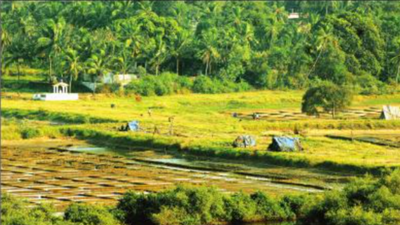 Maharashtra: Agricultural universities eye syllabi revision, focus on organic