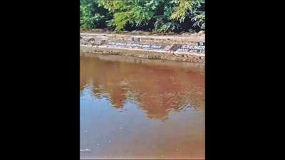 Factories in Punjab pollute Indira Gandhi canal water