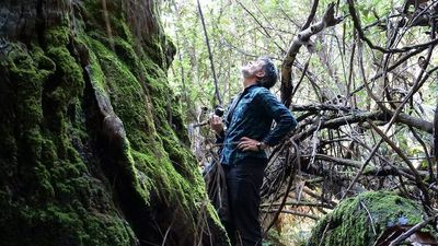 Turning to tourists to protect the pristine bush of East Gippsland
