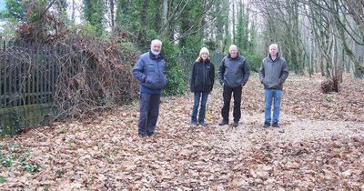 Environmental group 'very frustrated' with lack of communication from South Dublin County Council over tree removal works in Tymon Park
