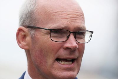 DUP actions will not ‘change much’ in ongoing Brexit negotiations, says Coveney