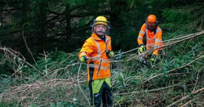 SSEN engineers work day and night to return power to Perth and Kinross homes after storms
