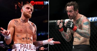Jake Paul warned against switching to MMA after CM Punk's failed UFC career