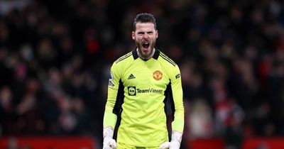 Manchester United's David de Gea named Premier League Player of the Month for January