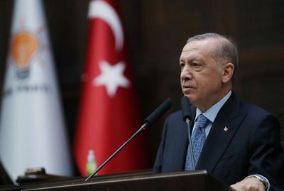 Erdogan says Turkey, Israel can jointly bring gas to Europe -media